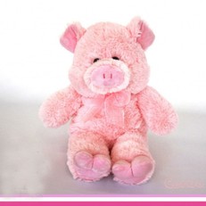 Peluche Cerdo  50cm personalizado con foto 