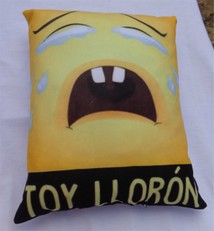 Cojin Lloron