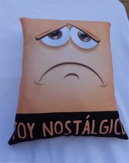 Cojin Nostalgico