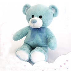 Oso Azul 50cm personalizado con foto 