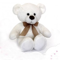 Oso Blanco 50cm personalizado con foto 