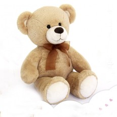 Oso Marron claro 50cm personalizado con foto 
