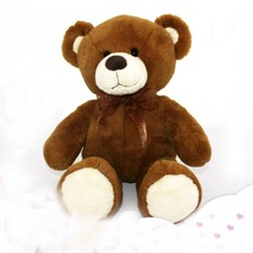 Oso Marron oscuro 50cm personalizado con foto 