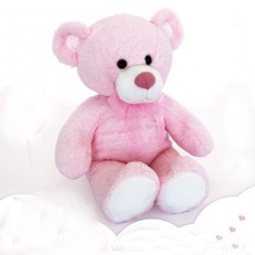 Oso Rosa 50cm personalizado con foto 