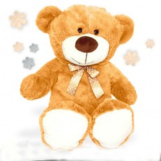 Oso Marron 50cm personalizado con foto 
